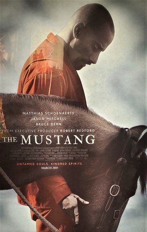 themustang_dvdsize